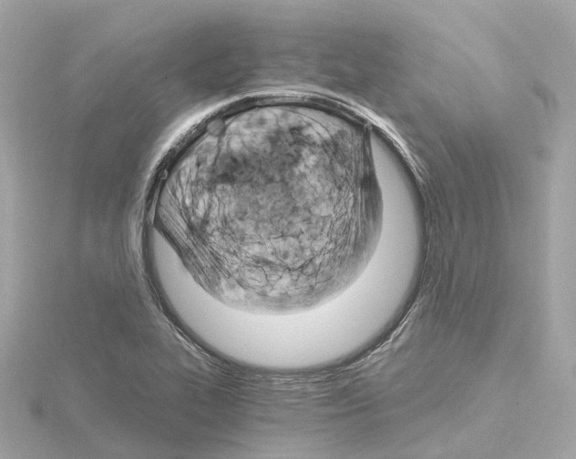 X0000114431319200911271609