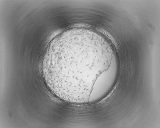 X0000114431321200911271609