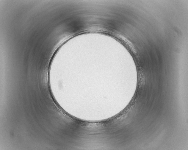 X0000114431322200911271609