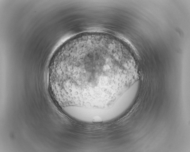 X0000114431323200911271609