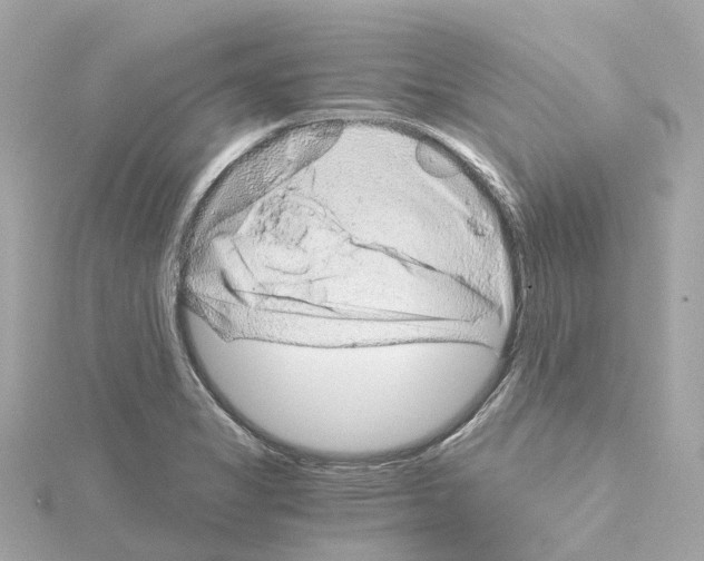 X0000114431325200911271609