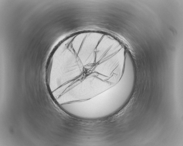 X0000114431326200911271609