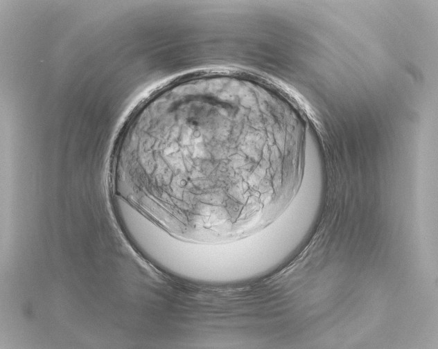 X0000114431327200911271609