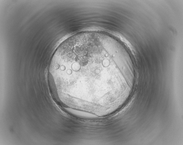 X0000114431329200911271609