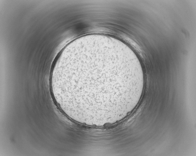 X0000114431330200911271610