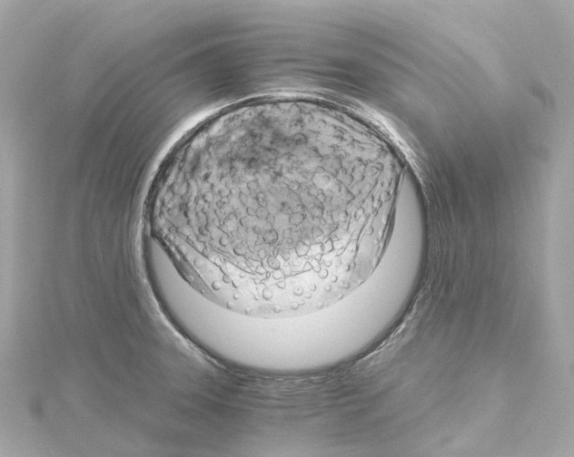 X0000114431331200911271610