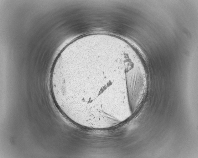 X0000114431333200911271610