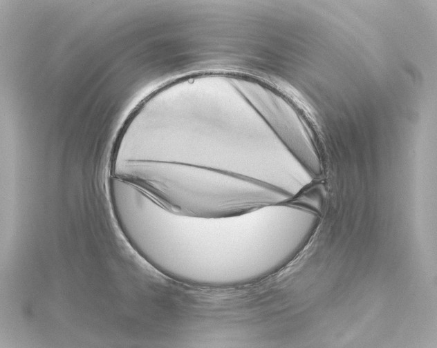 X0000114431334200911271610