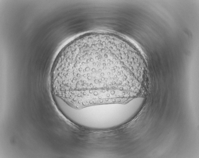 X0000114431335200911271610