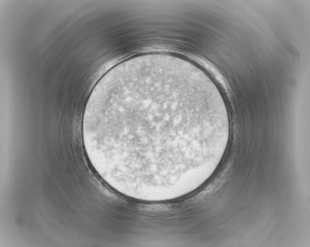 X0000114431337200911271610