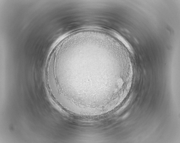 X0000114431338200911271610