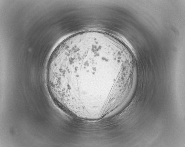 X0000114431339200911271610