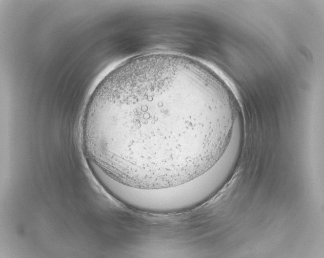 X0000114431341200911271610