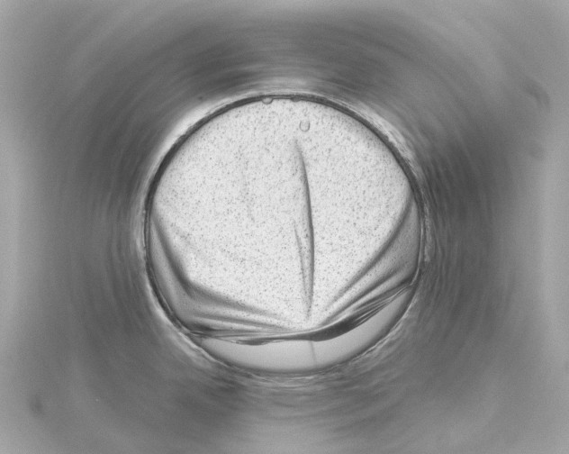 X0000114431342200911271610