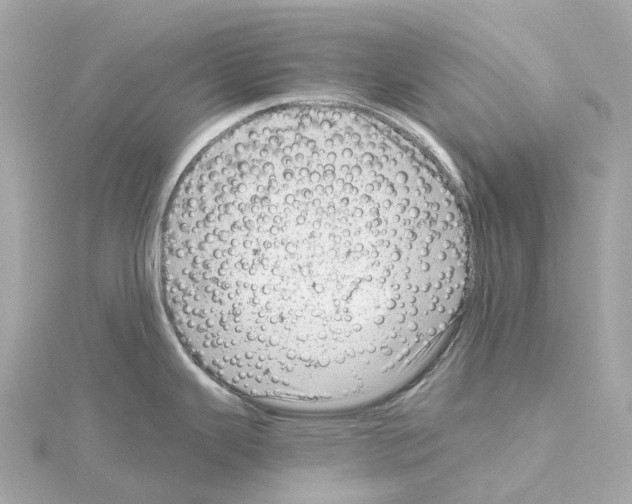 X0000114431343200911271610