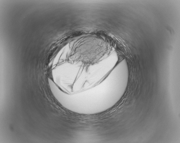 X0000114431349200911271609