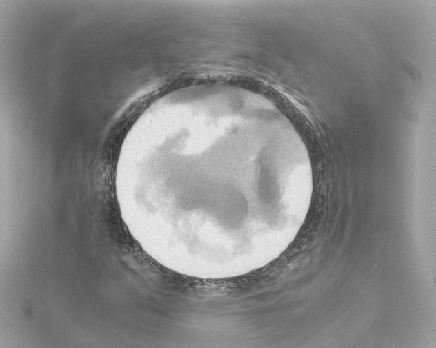 X0000114431351200911271609