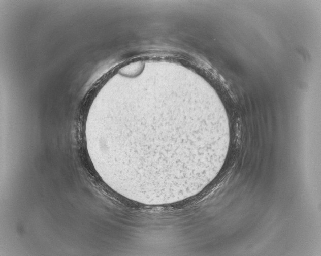 X0000114431352200911271609