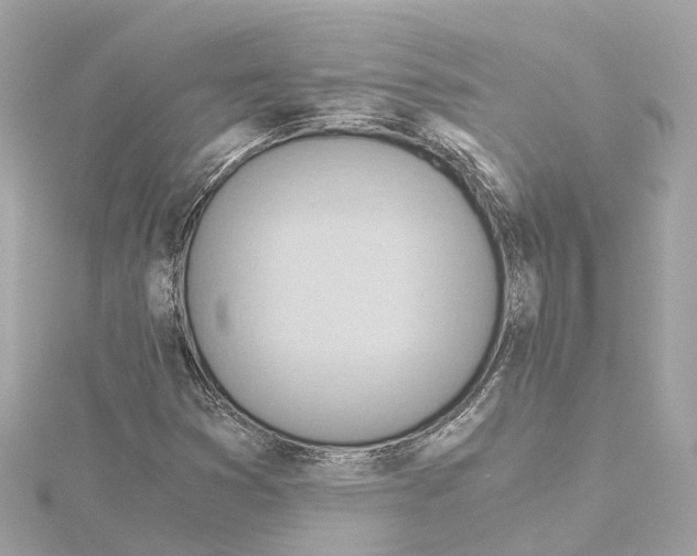 X0000114431353200911271609