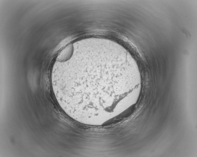 X0000114431354200911271609