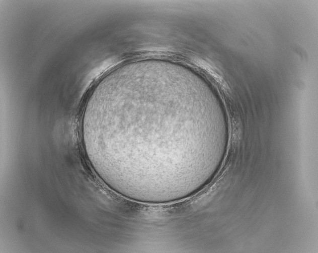 X0000114431357200911271609