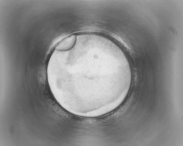 X0000114431358200911271609