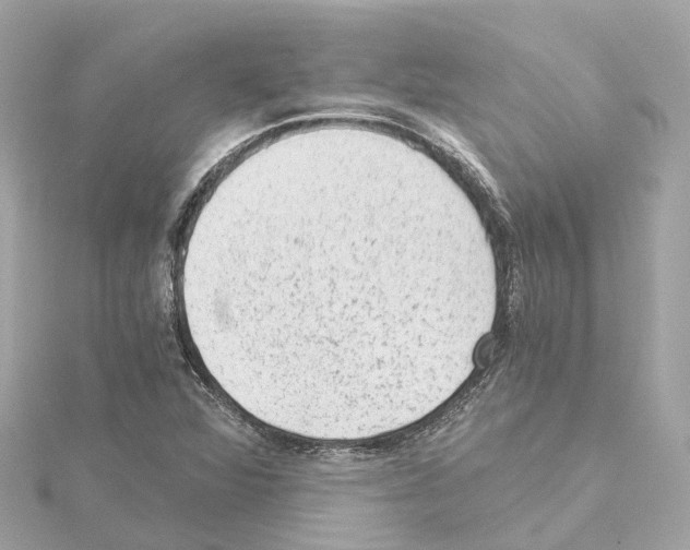 X0000114431360200911271609