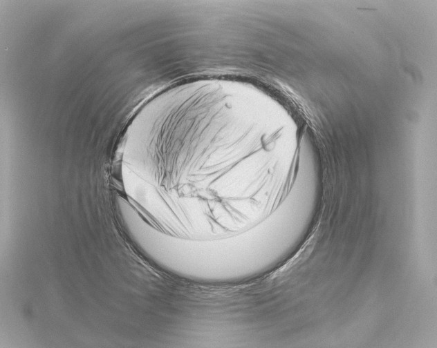 X0000114431361200911271609