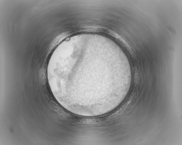 X0000114431362200911271609