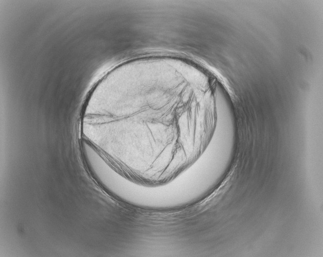 X0000114431365200911271609