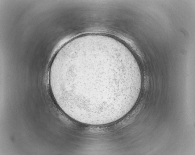 X0000114431366200911271609