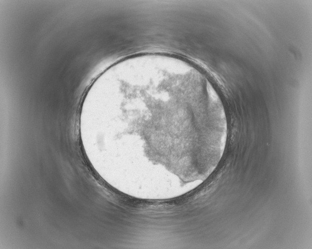 X0000114431367200911271609