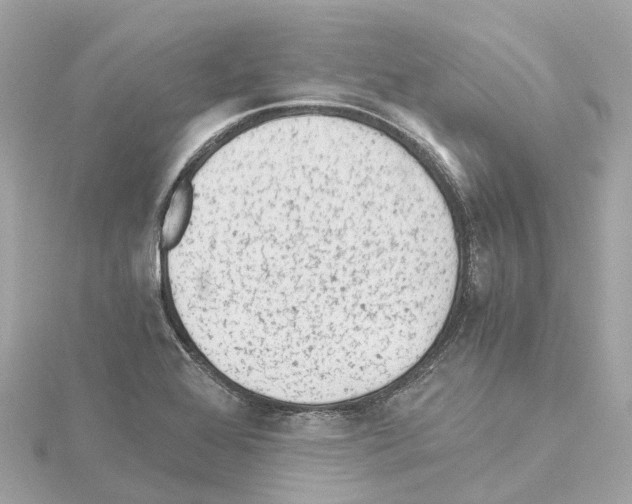 X0000114431368200911271609