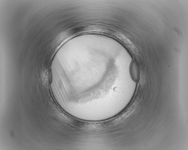 X0000114431369200911271609