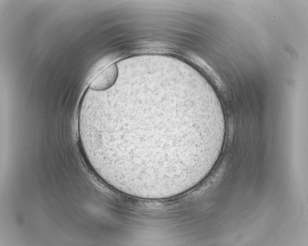 X0000114431370200911271609