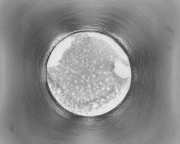 X0000114431371200911271609