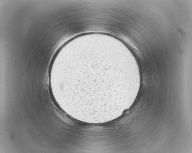 X0000114431372200911271609