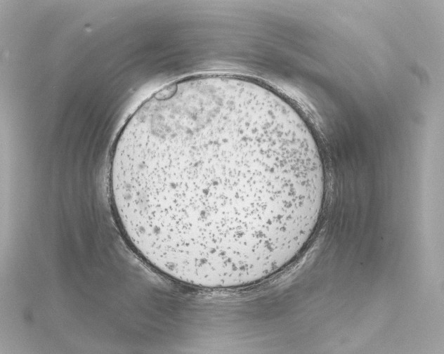 X0000114431374200911271609