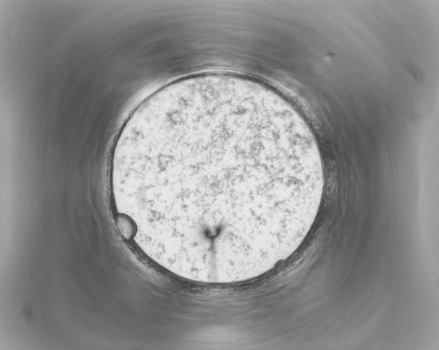 X0000114431375200911271609