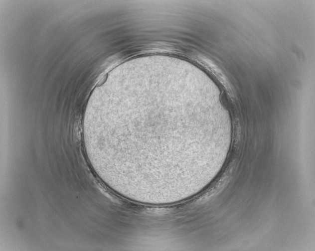 X0000114431377200911271609