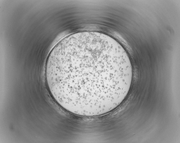 X0000114431378200911271609