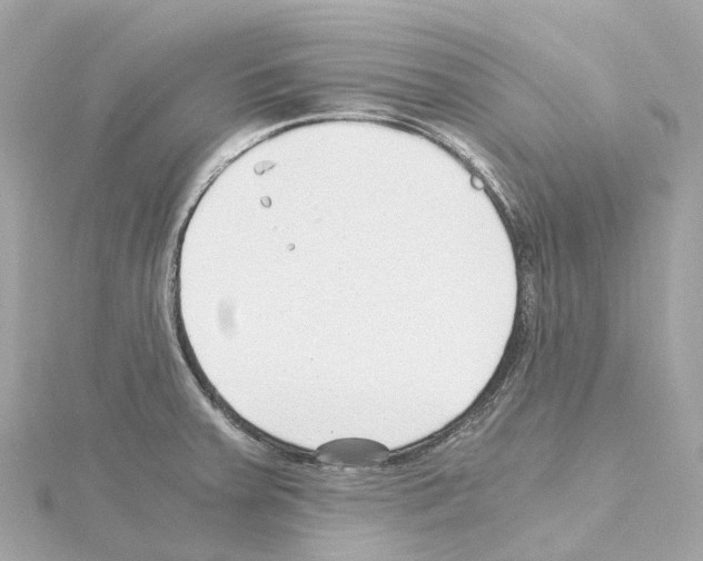 X0000114431379200911271609