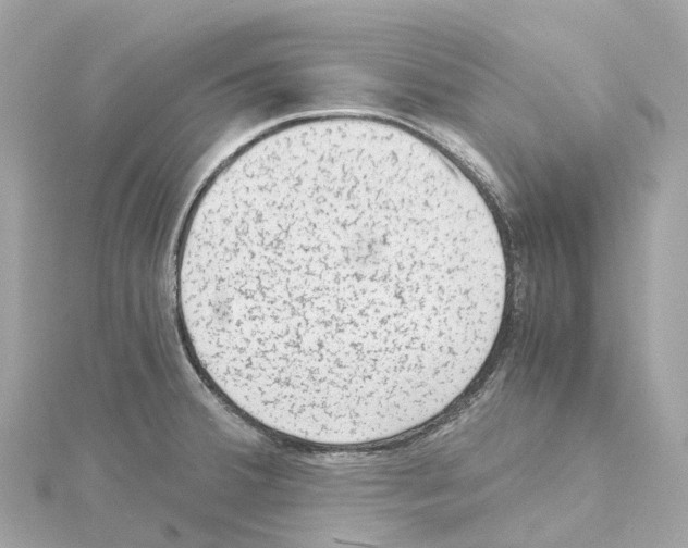 X0000114431380200911271609