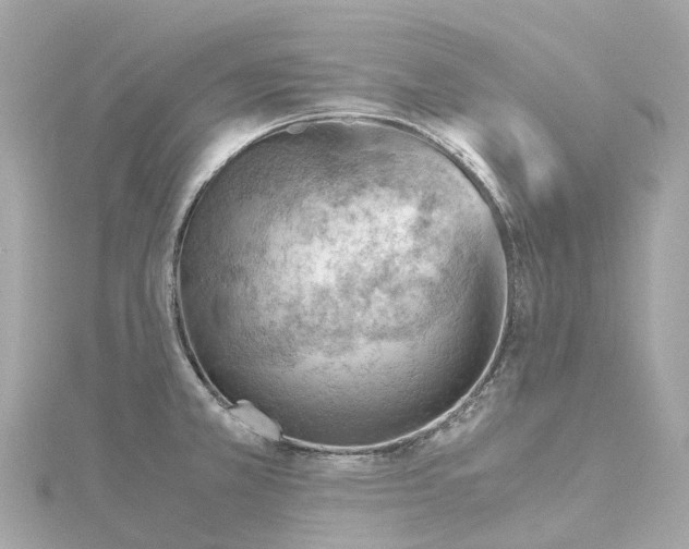 X0000114431381200911271609