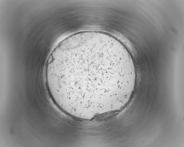 X0000114431382200911271609