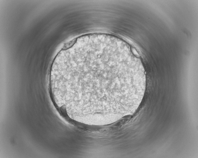 X0000114431383200911271609