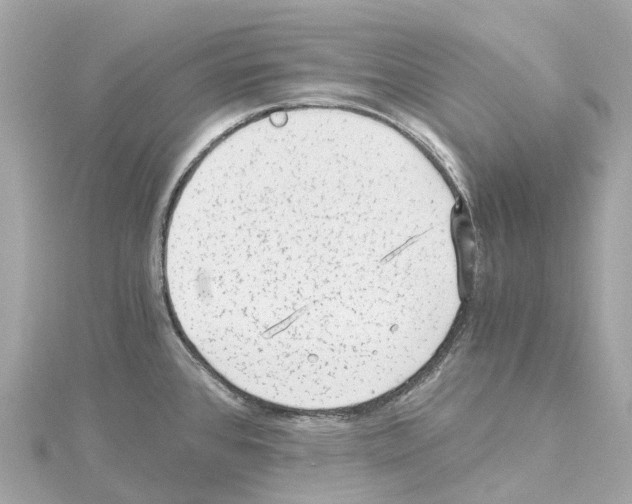 X0000114431384200911271609