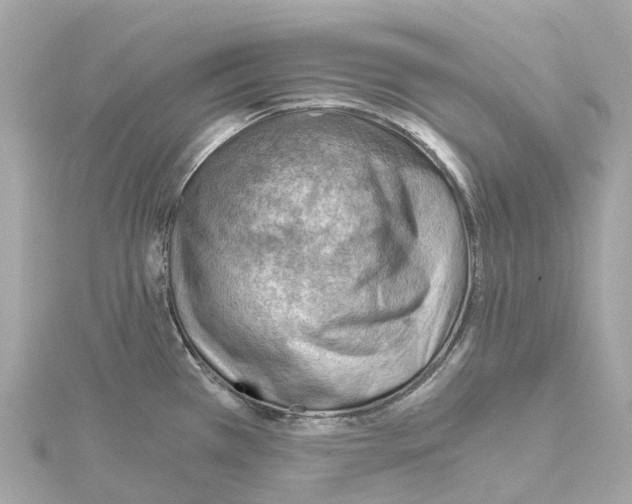 X0000114431385200911271609