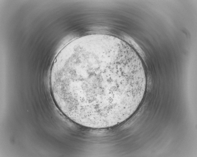 X0000114431386200911271609