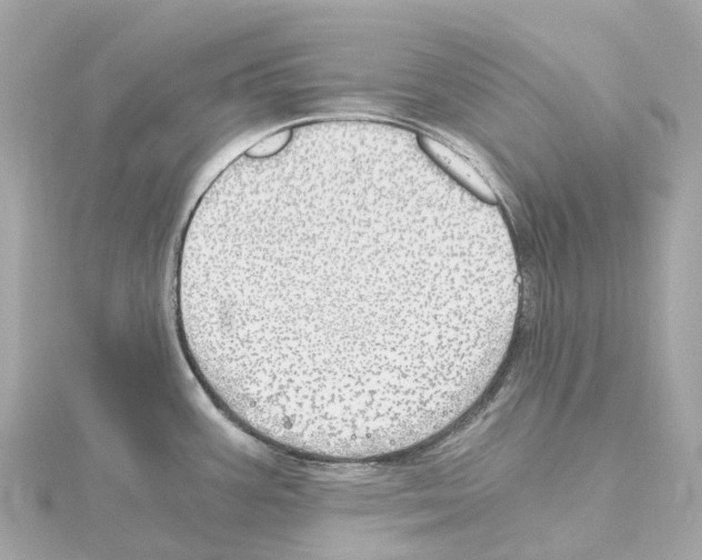 X0000114431387200911271609